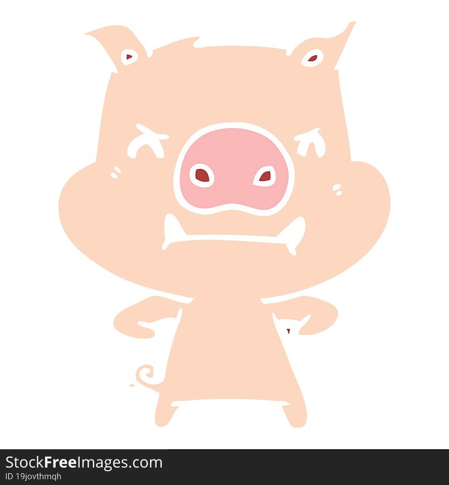 Angry Flat Color Style Cartoon Pig