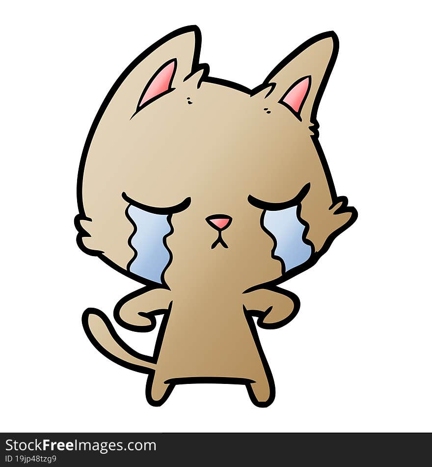 crying cartoon cat. crying cartoon cat