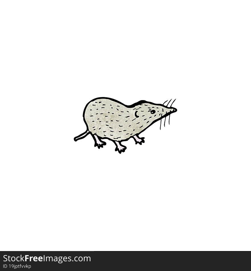 Shrew Illustration