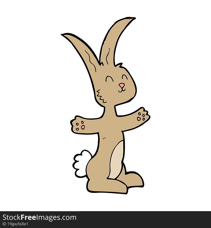 Cartoon Rabbit