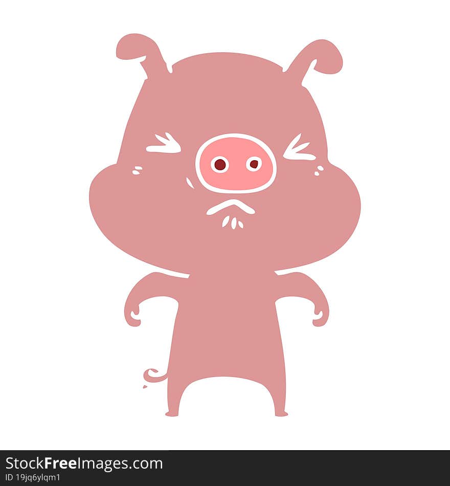 flat color style cartoon angry pig