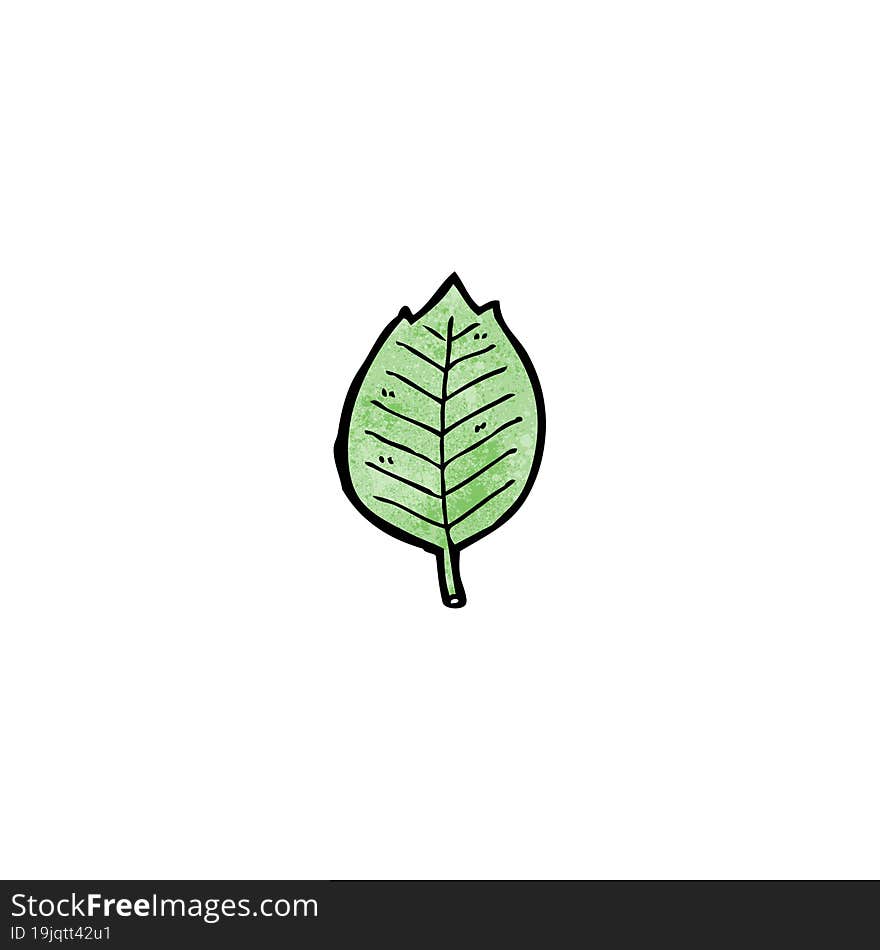 Cartoon Leaf