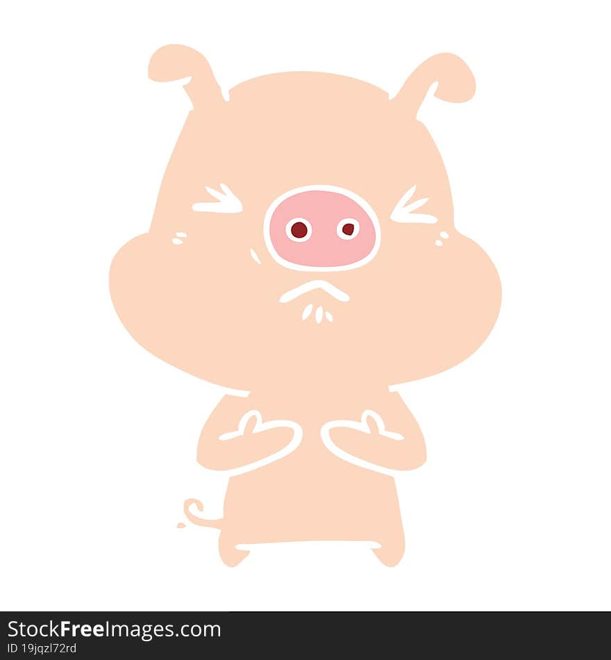 flat color style cartoon angry pig