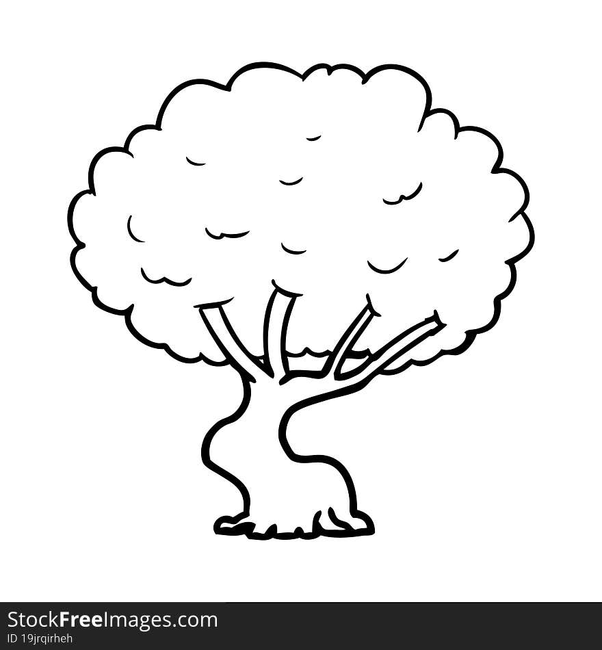 line drawing of a tree. line drawing of a tree