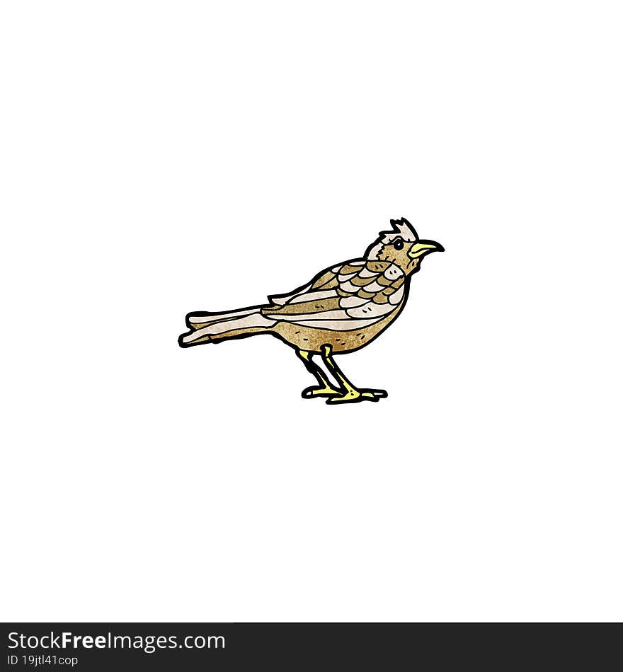 garden bird illustration