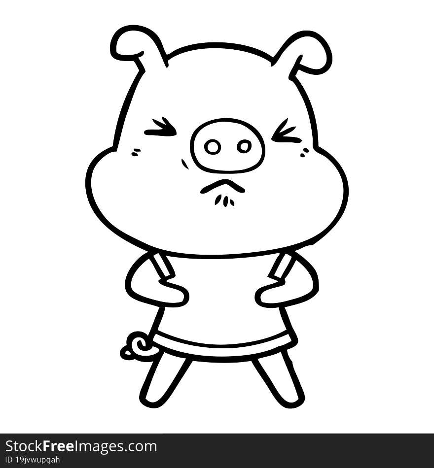 cartoon angry pig wearing tee shirt. cartoon angry pig wearing tee shirt