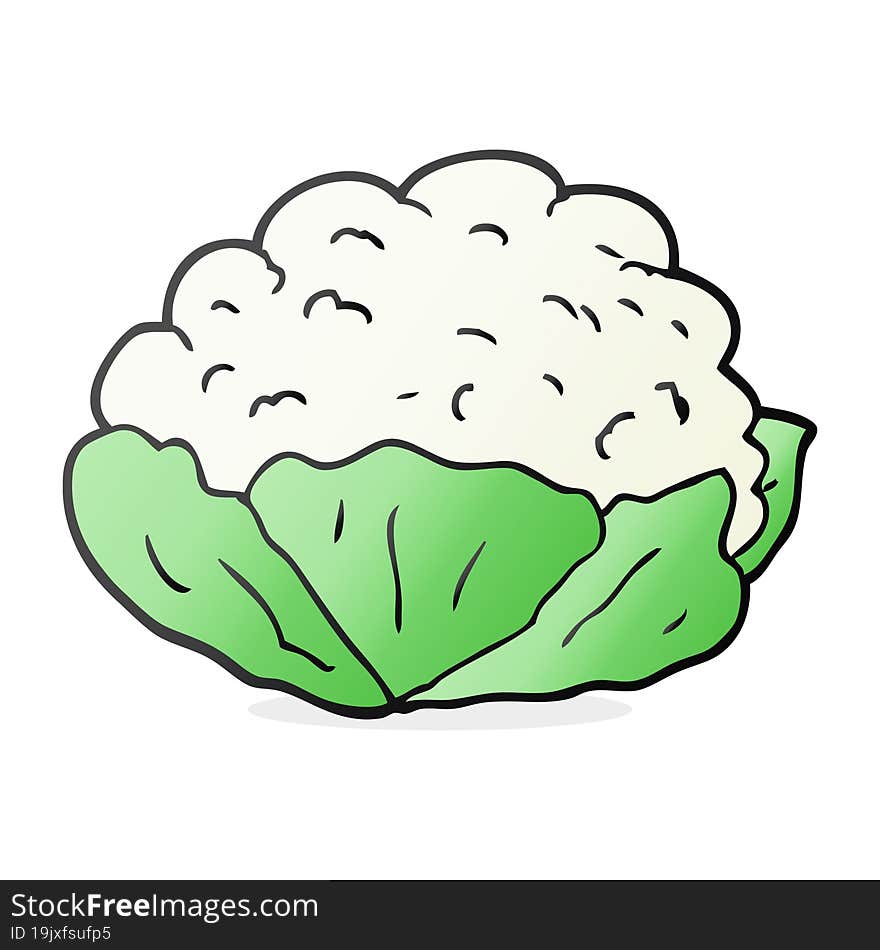 freehand drawn cartoon cauliflower