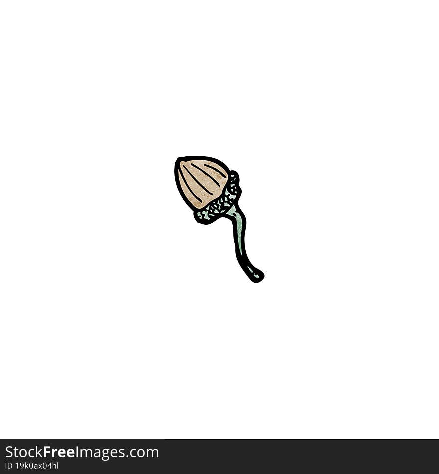 cartoon acorn