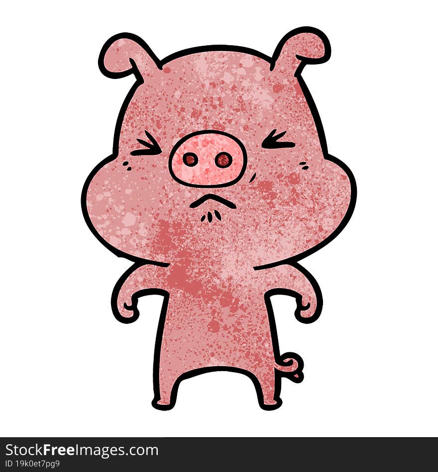 cartoon angry pig. cartoon angry pig