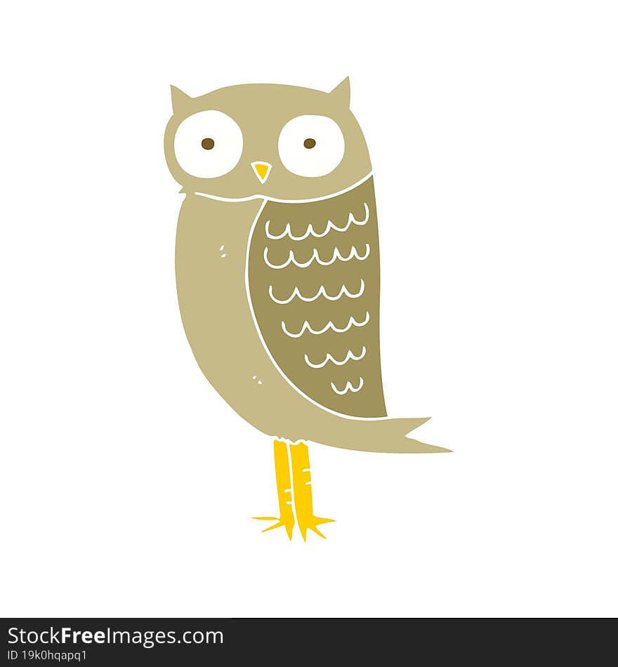 flat color illustration of owl. flat color illustration of owl