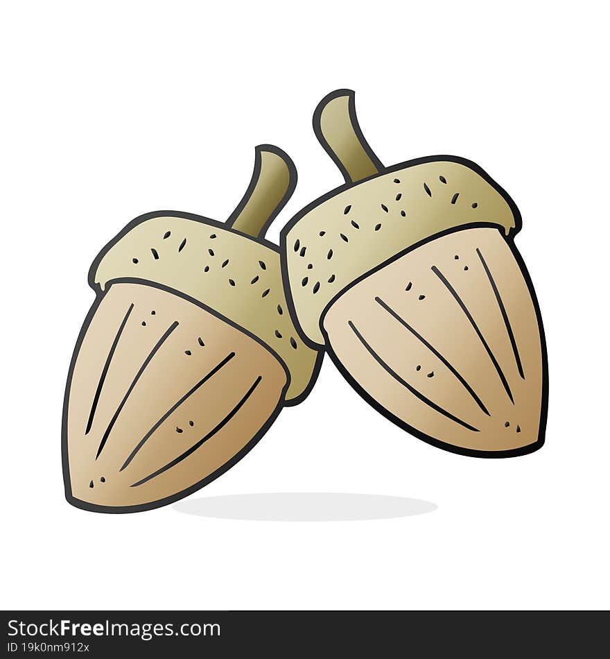 cartoon acorns