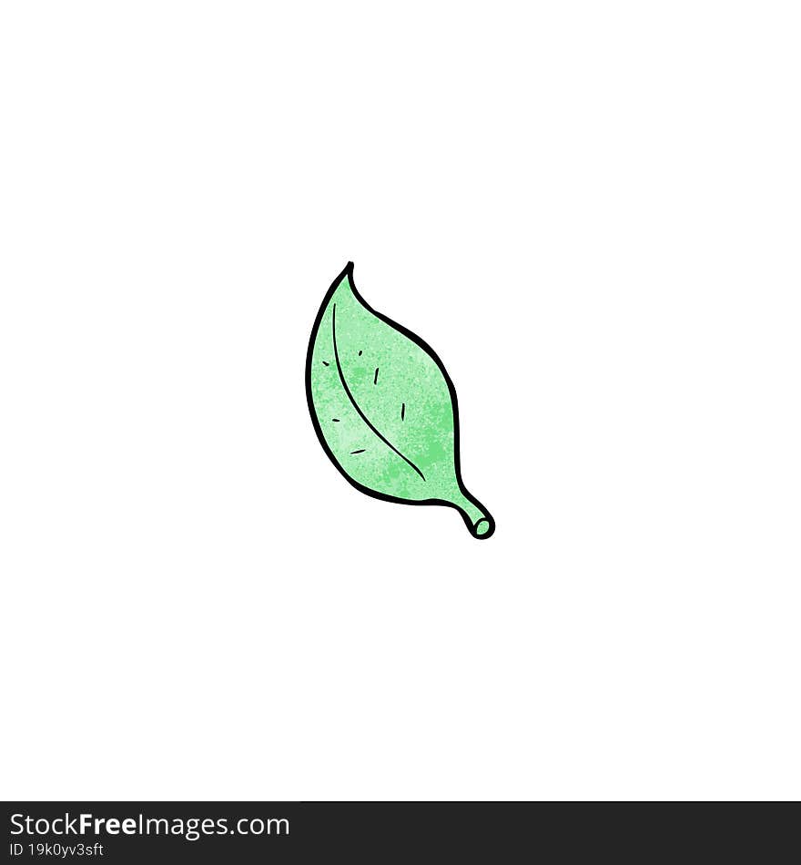 cartoon leaf