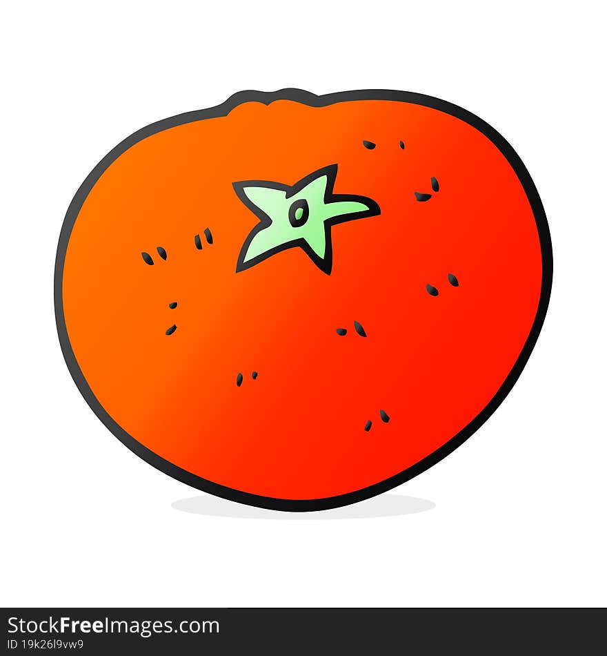 freehand drawn cartoon tomato