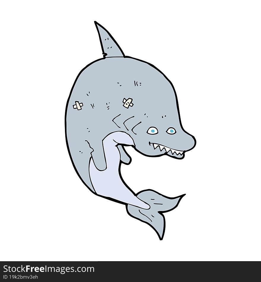 cartoon shark