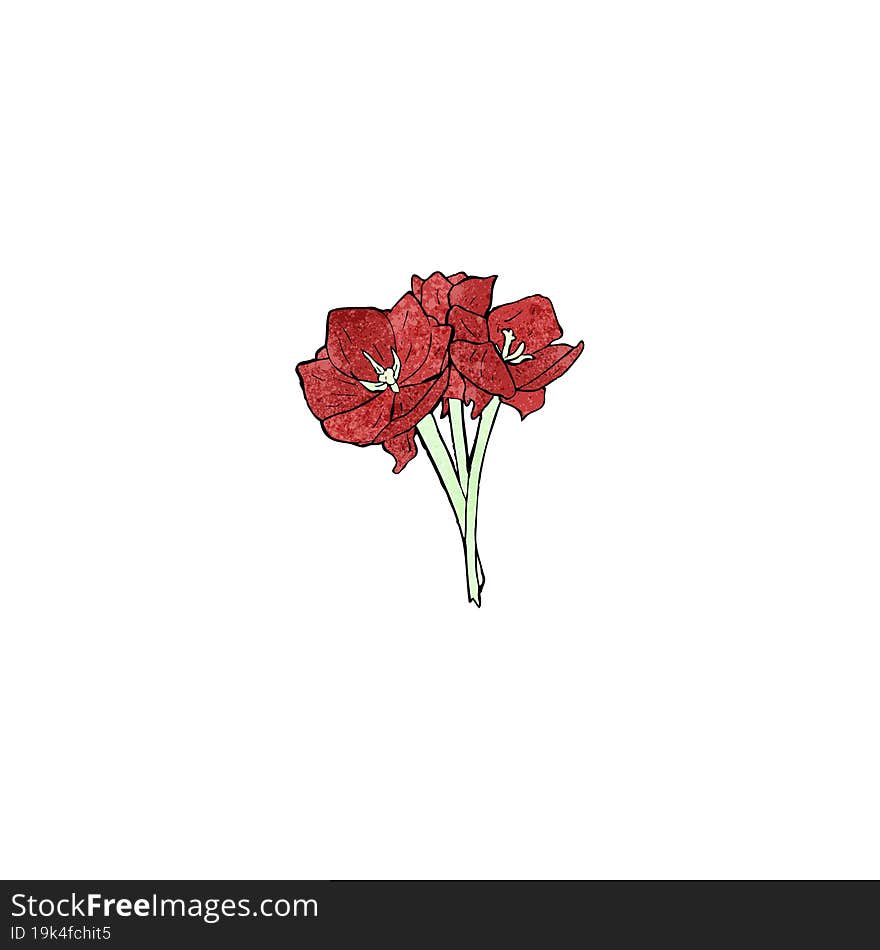 red flowers illustration