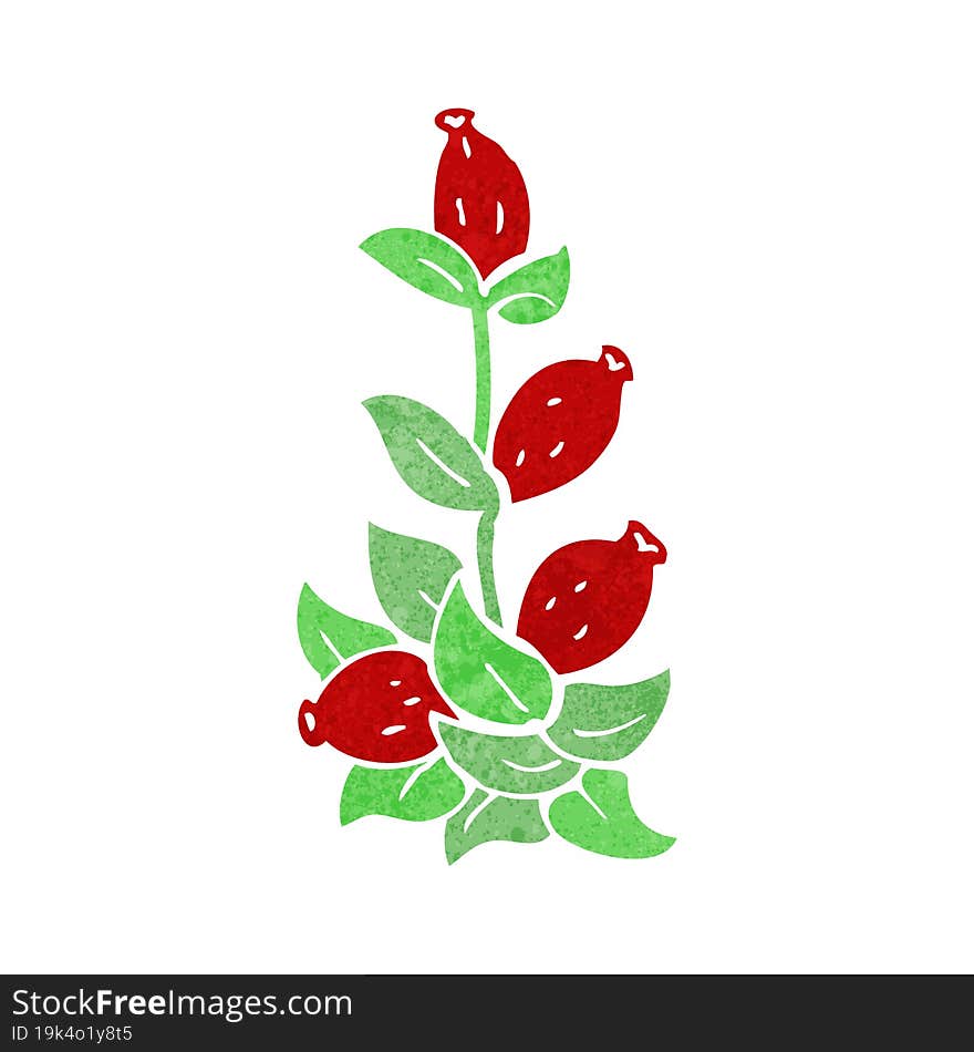 cartoon rosehip flowers