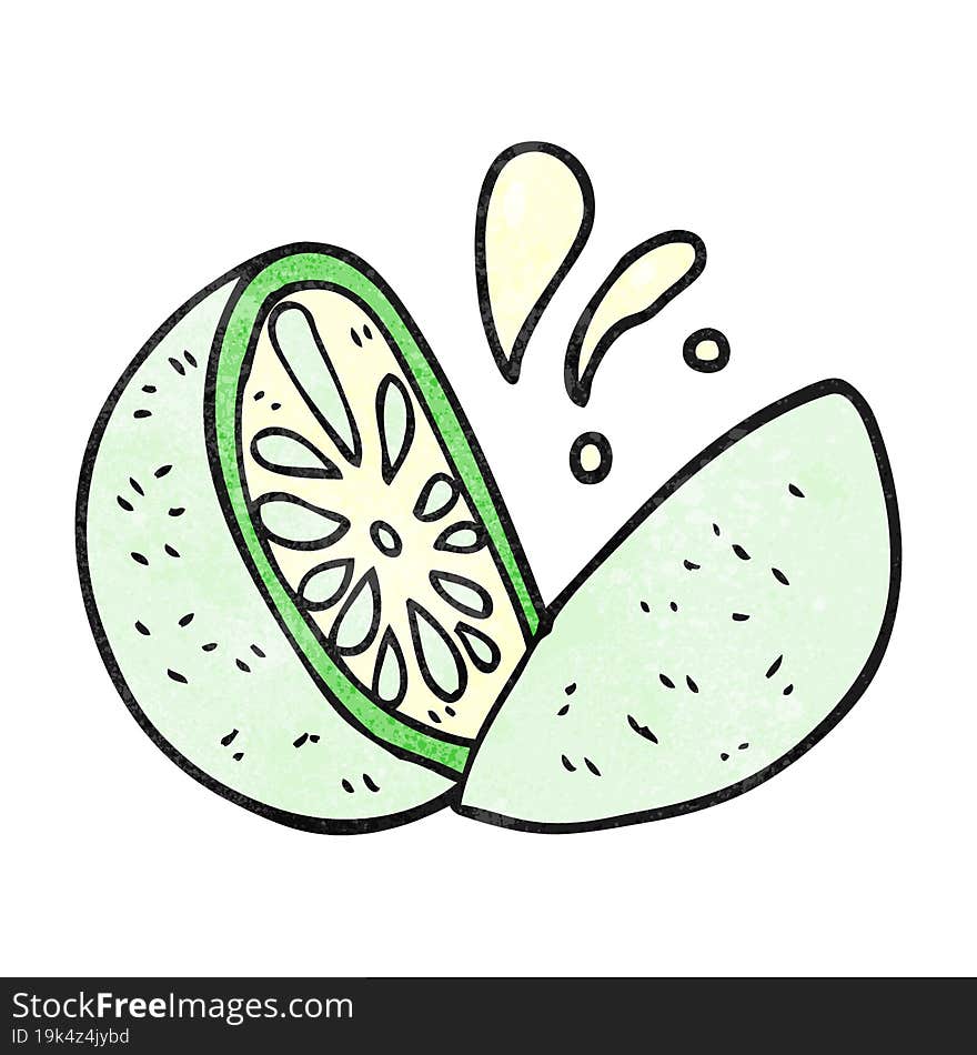 textured cartoon melon