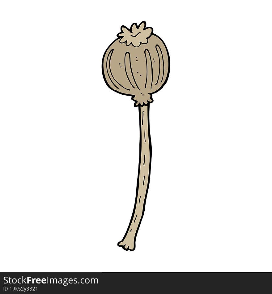 cartoon dried poppy