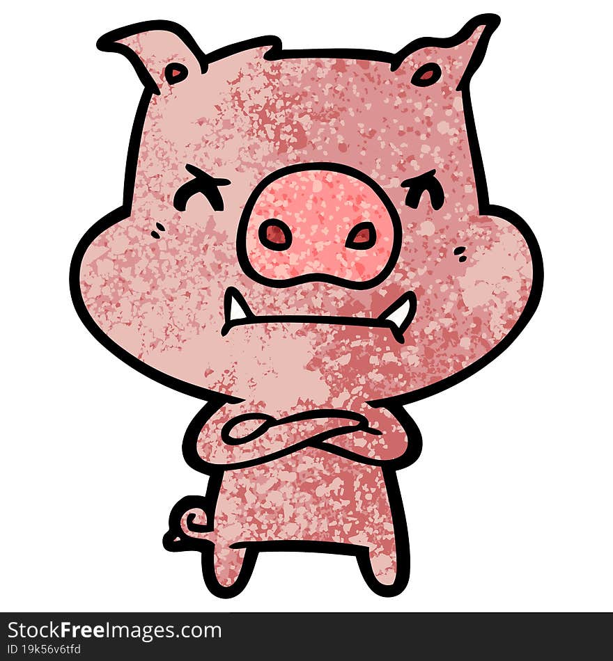 angry cartoon pig. angry cartoon pig