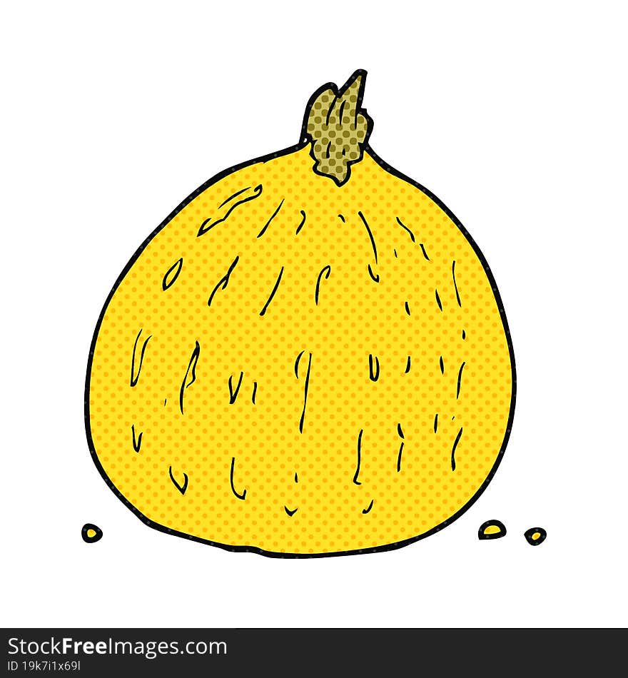 Cartoon Squash