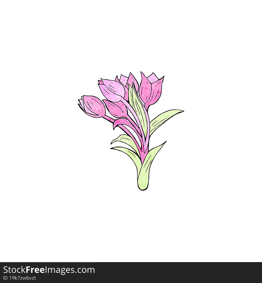 flower illustration