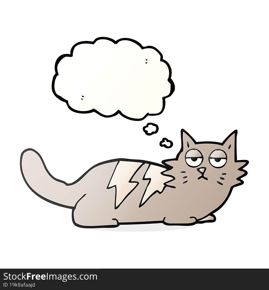 Thought Bubble Cartoon Cat