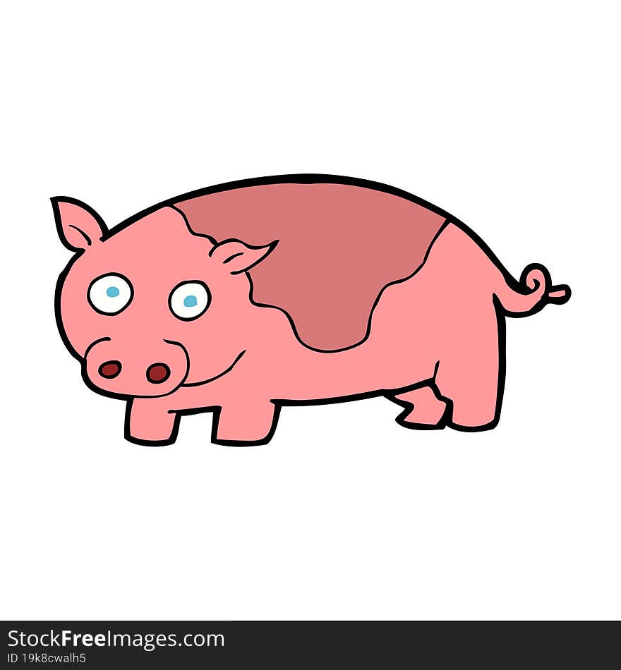 Cartoon Pig