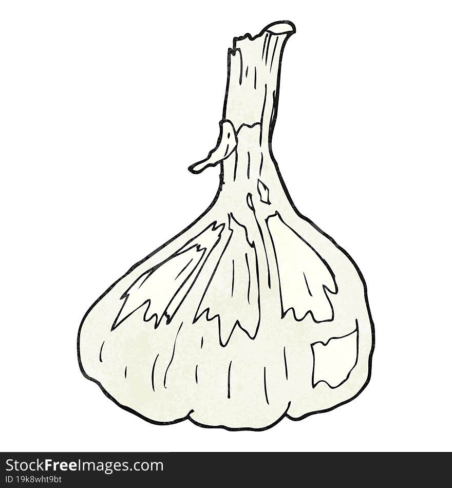 textured cartoon garlic