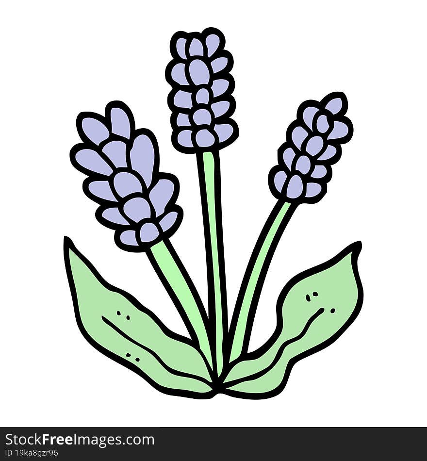 hand drawn doodle style cartoon lavender