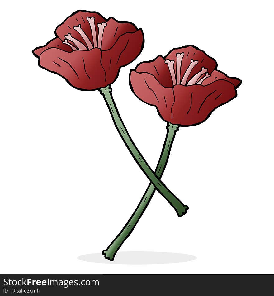 cartoon pretty tulip flowers. cartoon pretty tulip flowers