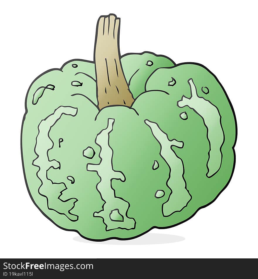 cartoon squash