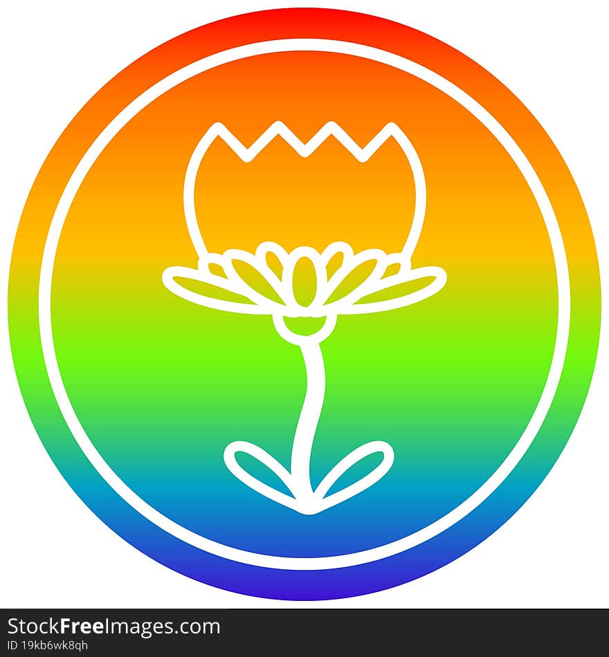 lotus flower circular in rainbow spectrum