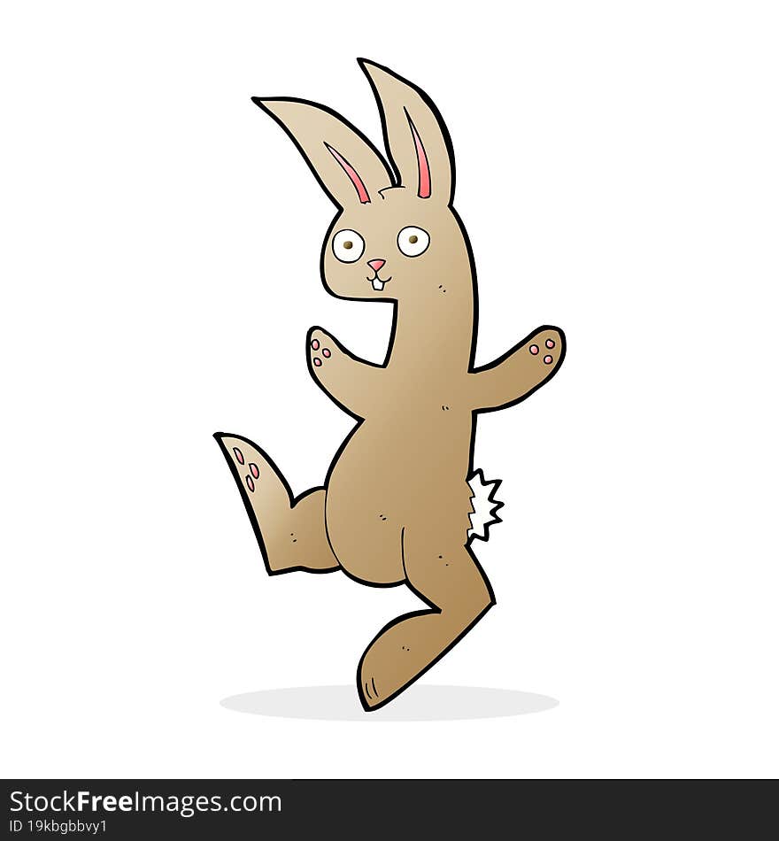 funny cartoon rabbit