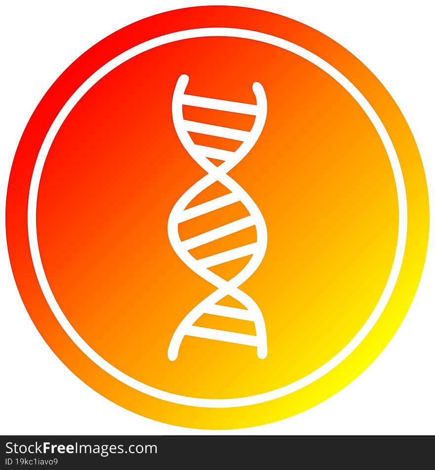 DNA chain circular in hot gradient spectrum