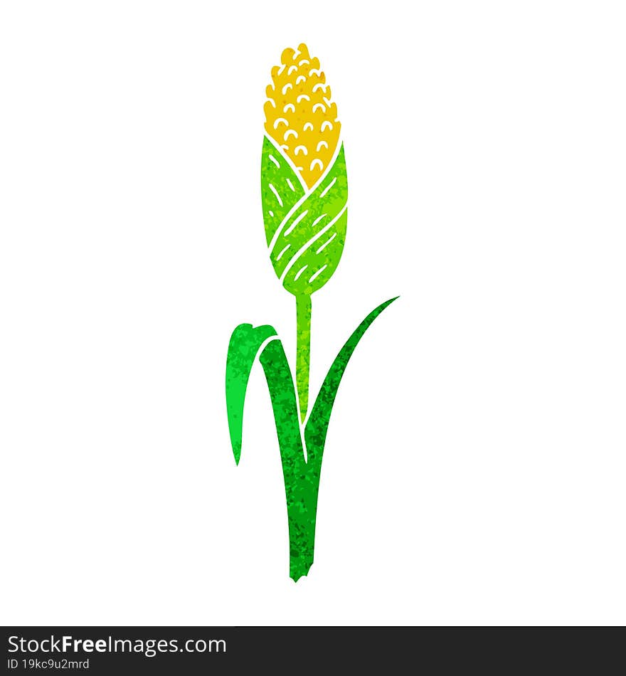 retro cartoon doodle of fresh corn on the cob