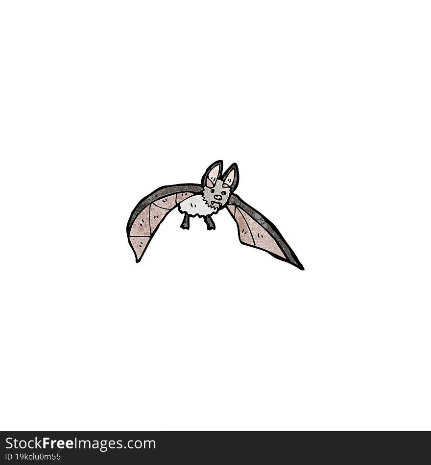 Vampire Bat Illustration