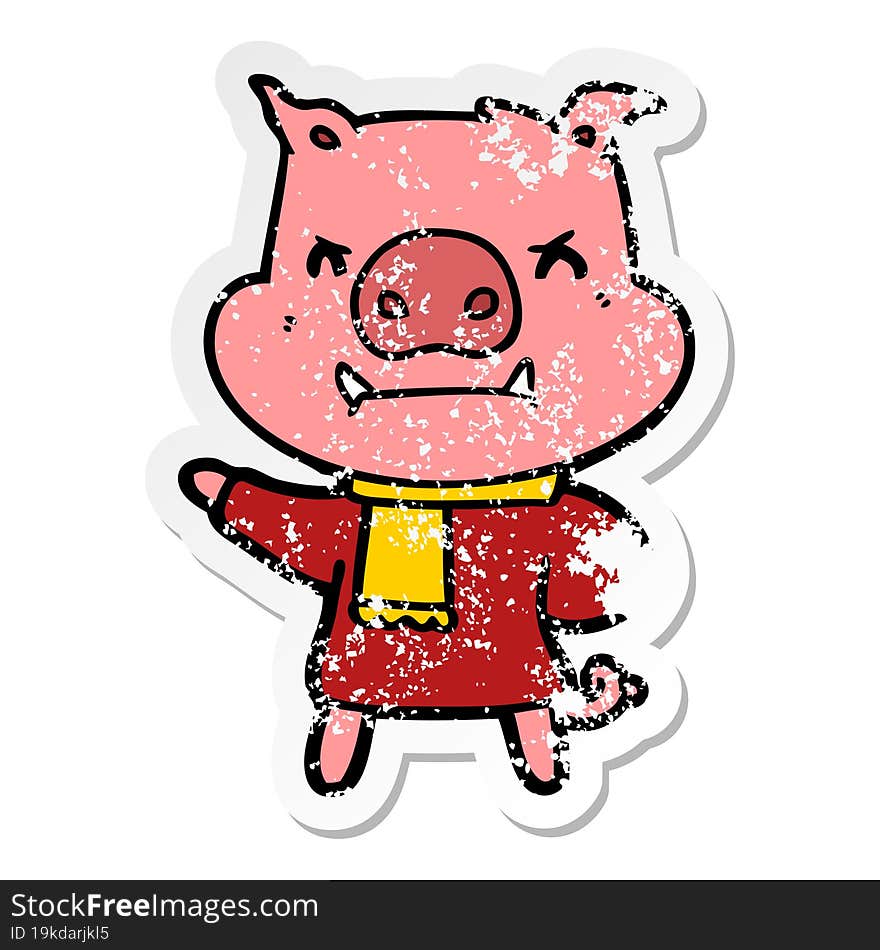 distressed sticker of a angry cartoon pig in winter clothes