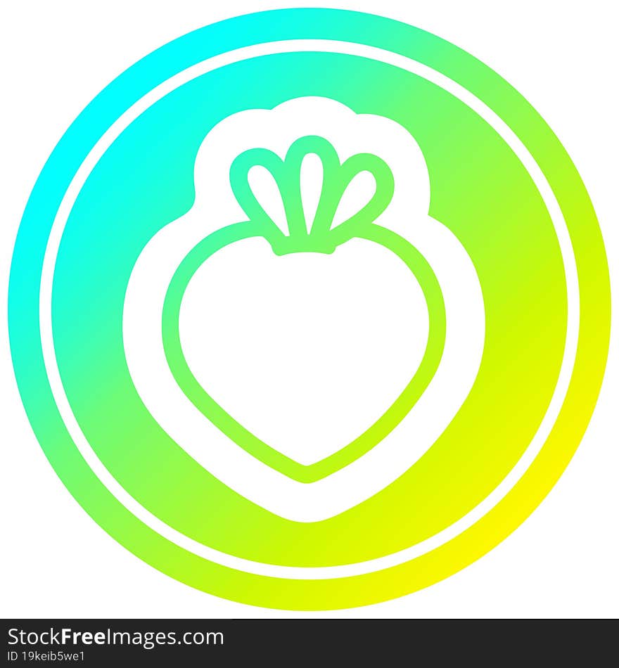 fresh fruit circular in cold gradient spectrum