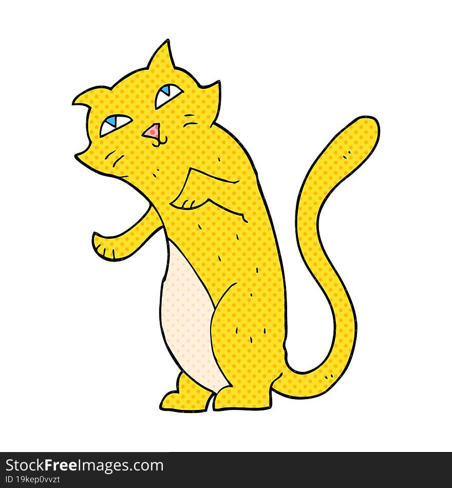 Cartoon Cat