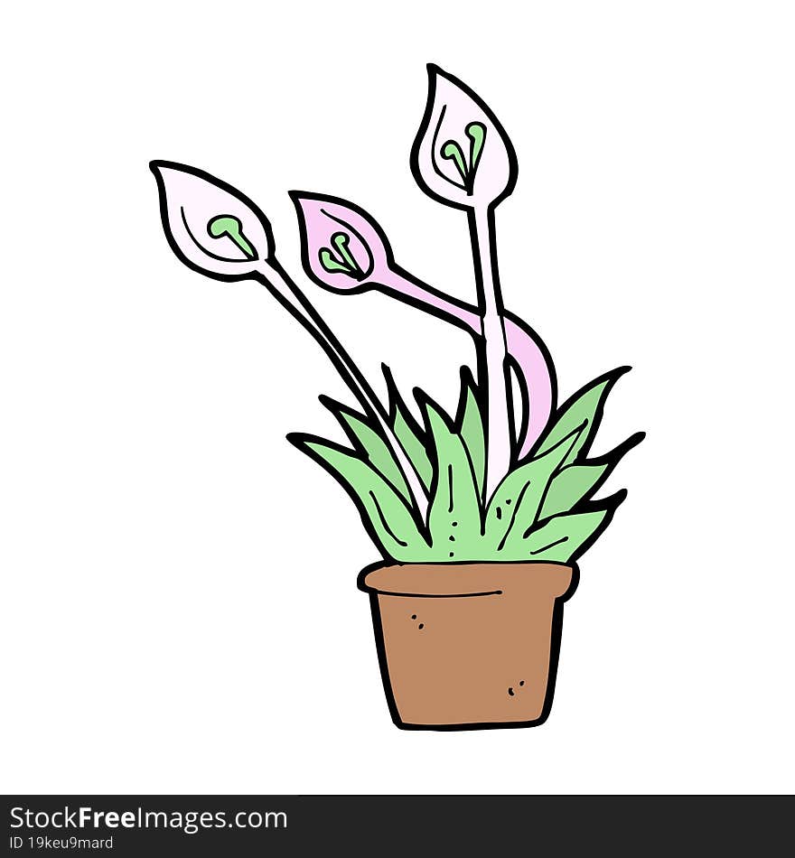 cartoon orchid plant