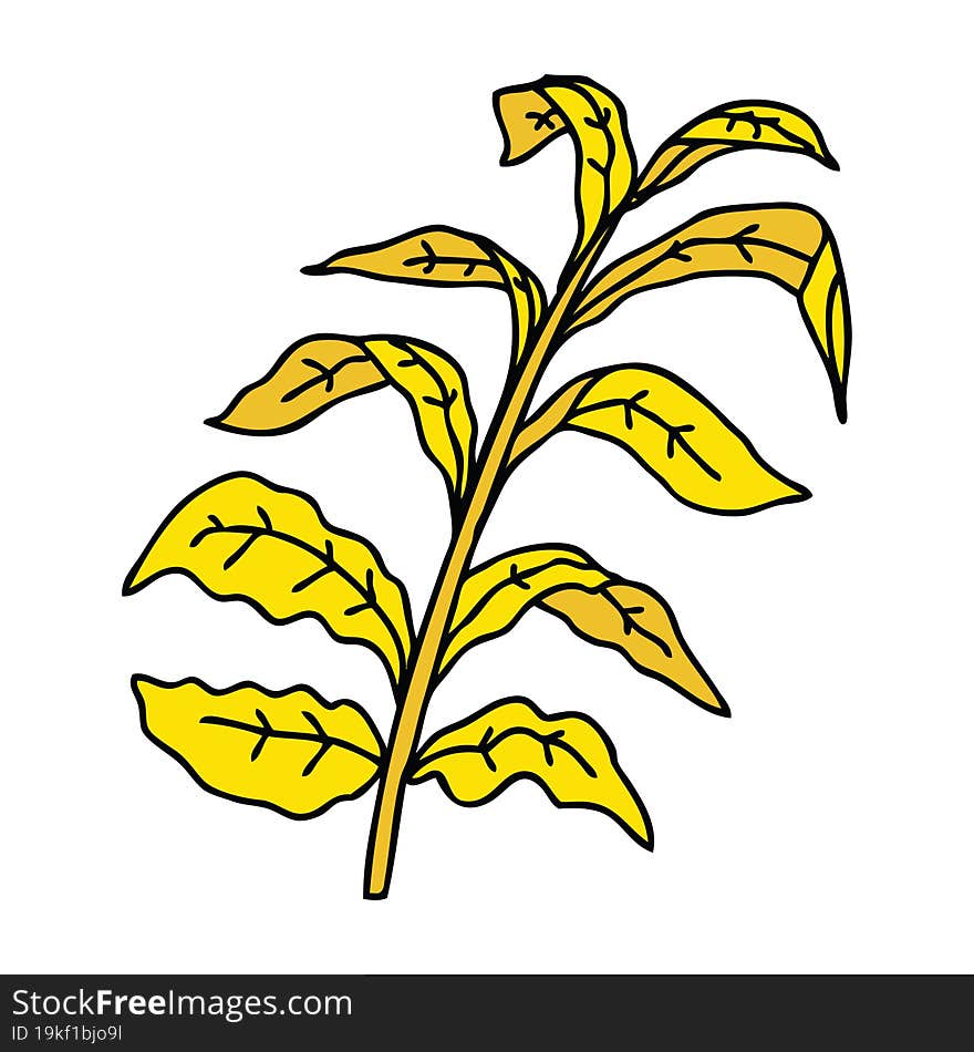 quirky hand drawn cartoon corn leaves