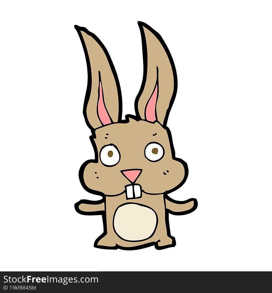 Cartoon Rabbit