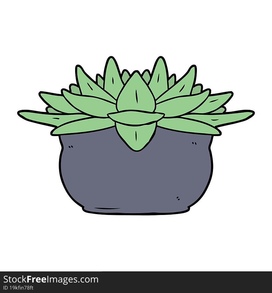 cartoon succulent plant. cartoon succulent plant