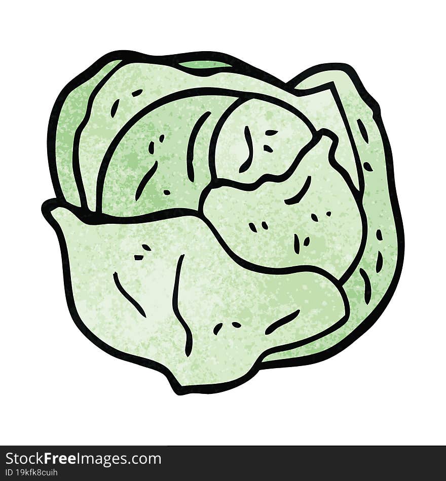 cartoon doodle organic lettuce