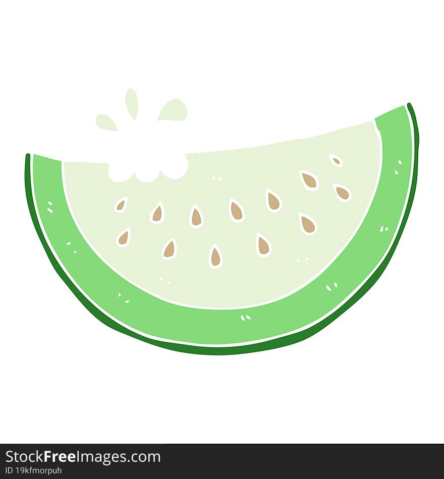 flat color illustration of melon slice. flat color illustration of melon slice