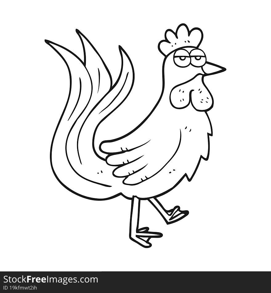 freehand drawn black and white cartoon cock