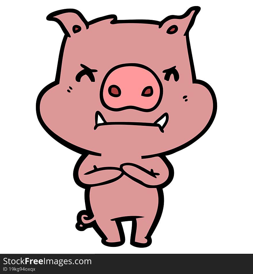 angry cartoon pig. angry cartoon pig