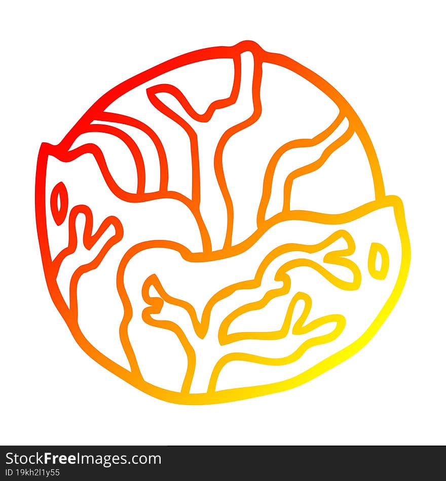 warm gradient line drawing cartoon cabbage