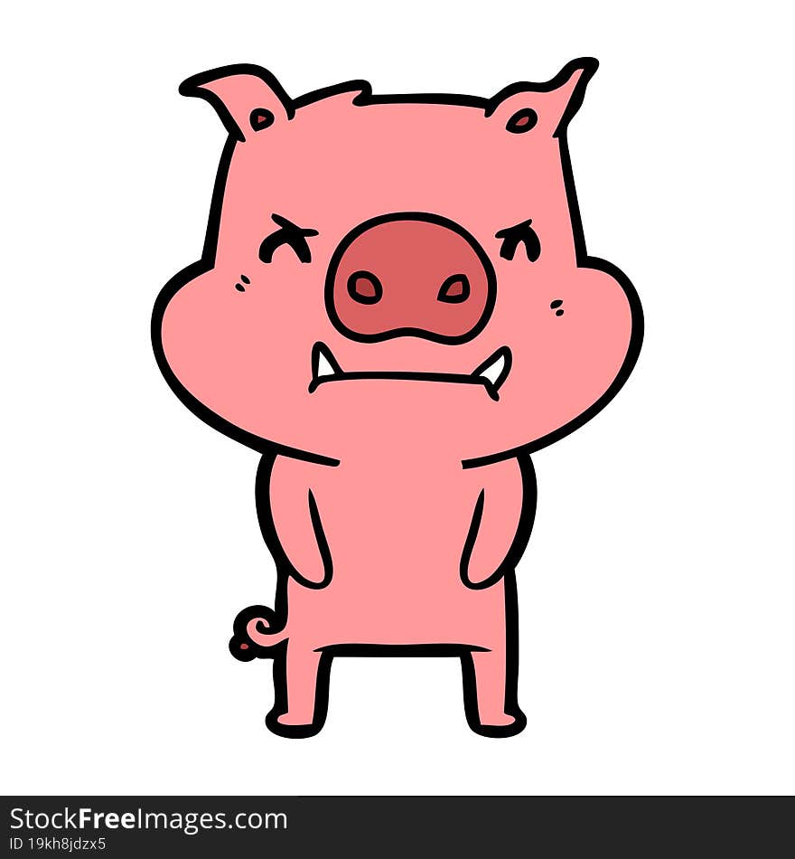 angry cartoon pig. angry cartoon pig