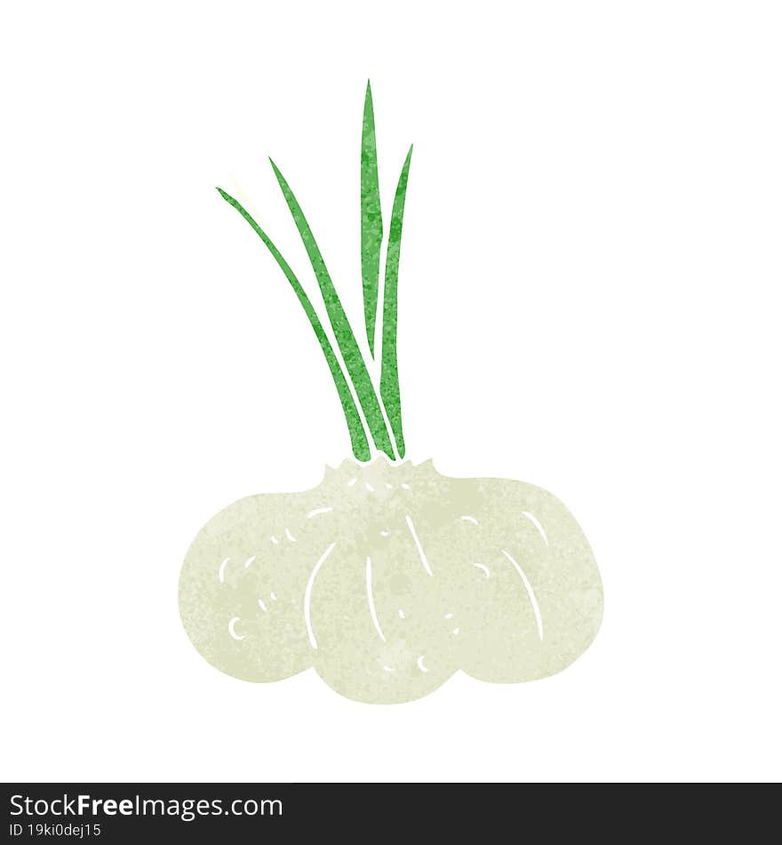 retro cartoon garlic bulb